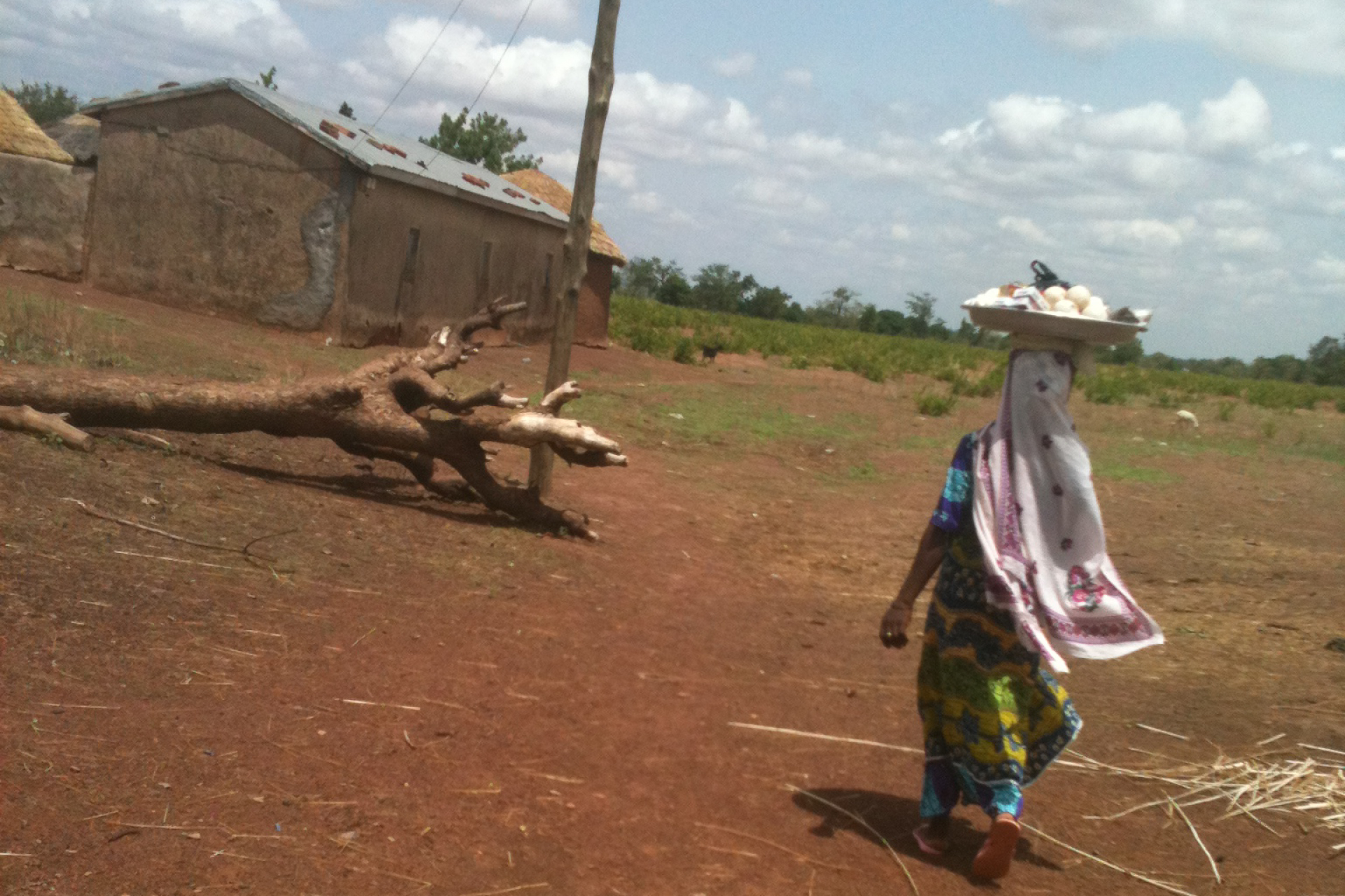 A woman carries a large tray on her head towards a dwelling.