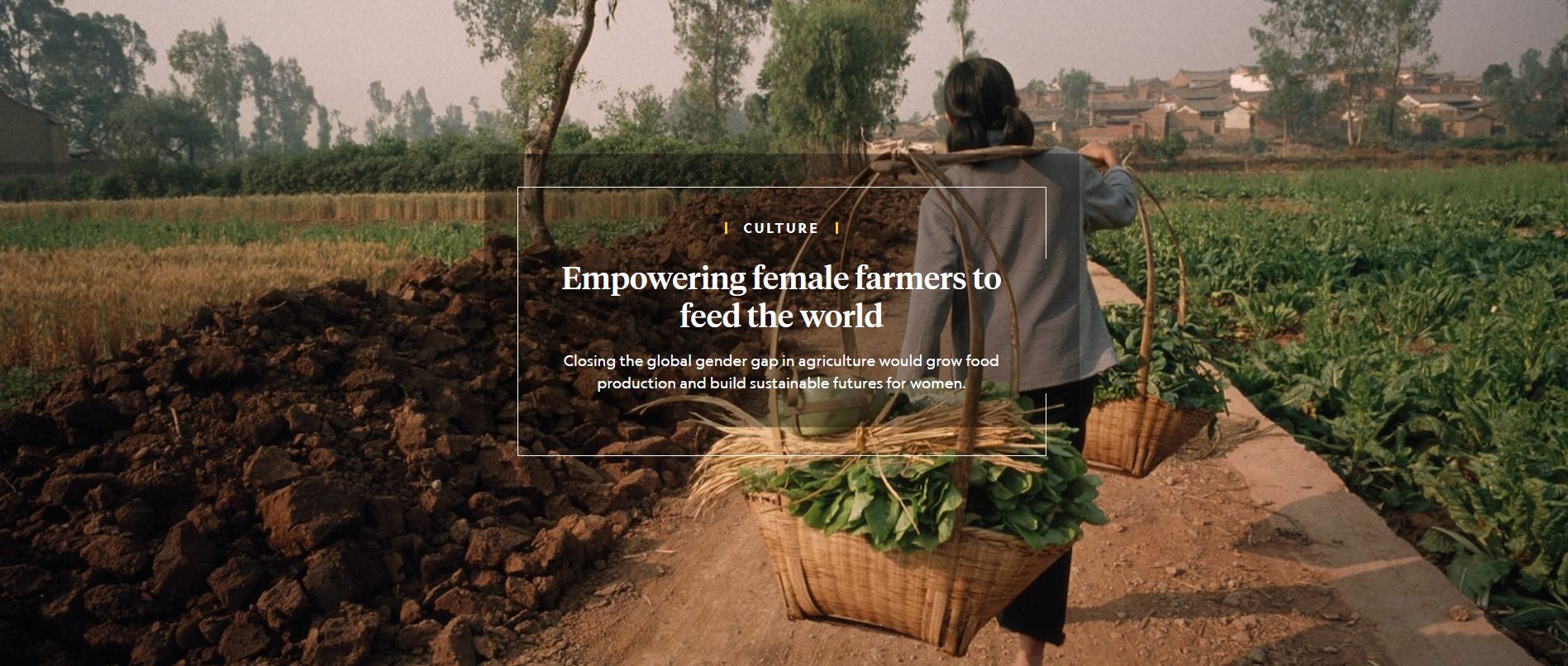 A woman carries freshly harvested produce on her back down a path in a field. Overlaying text reads "Empowering female farmers to feed the world."